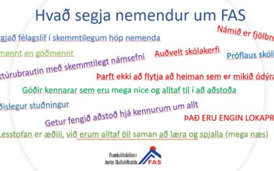 10. bekkur heimsækir FAS